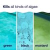 Hth Liquid Algae Guard 1 qt 67089